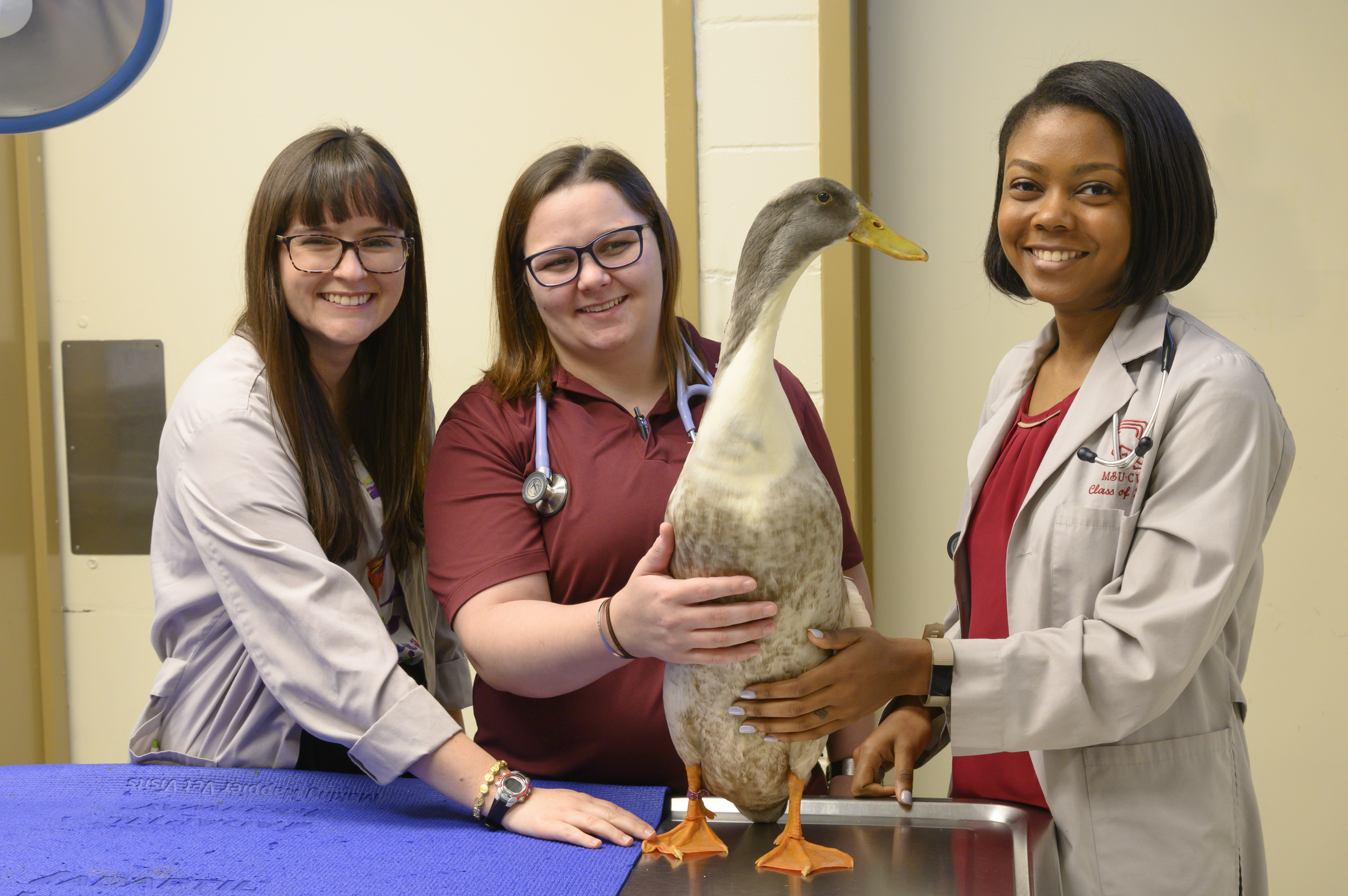 Veterinary professionals pose with a duck 