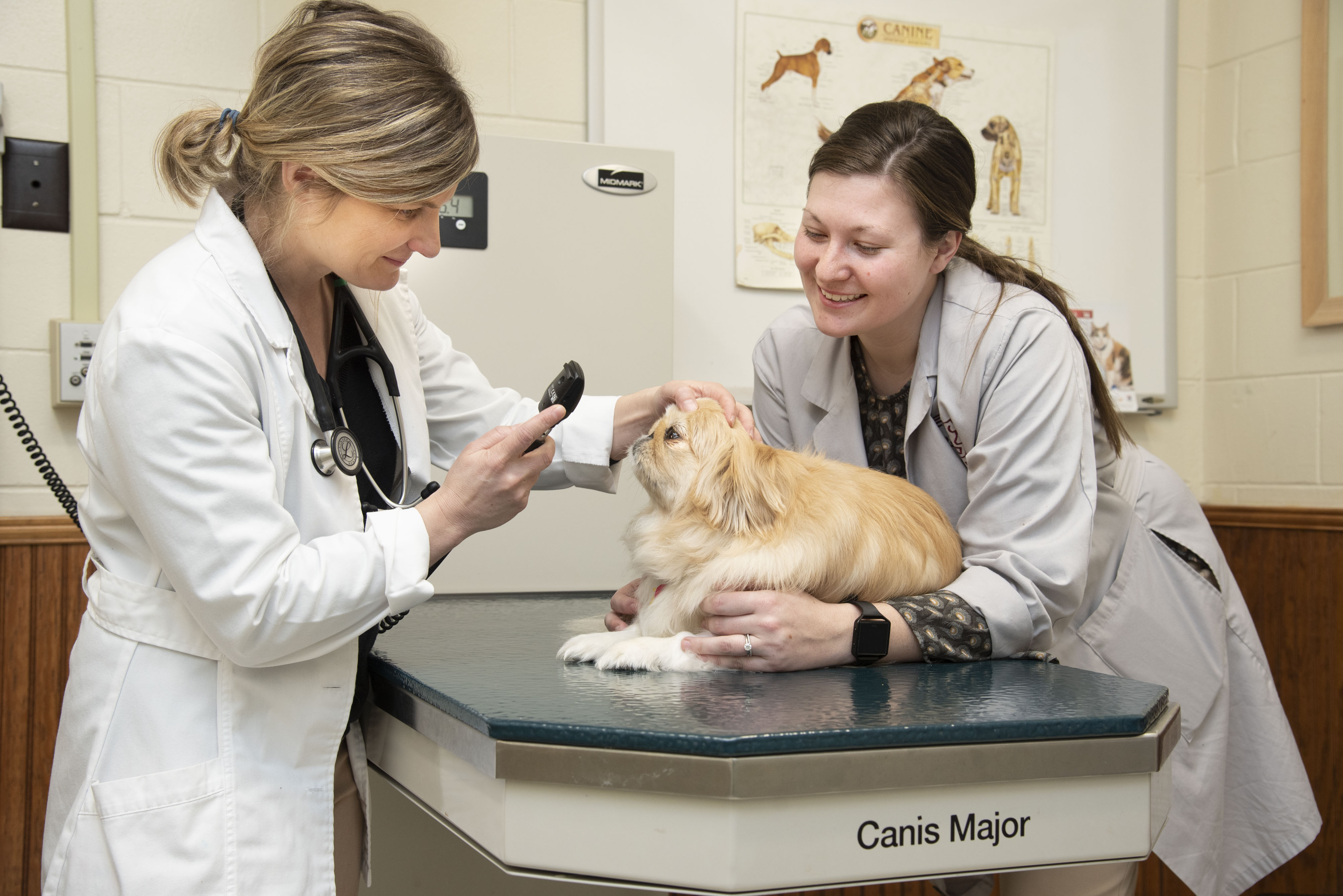 A veterinarian and student examine a small dog