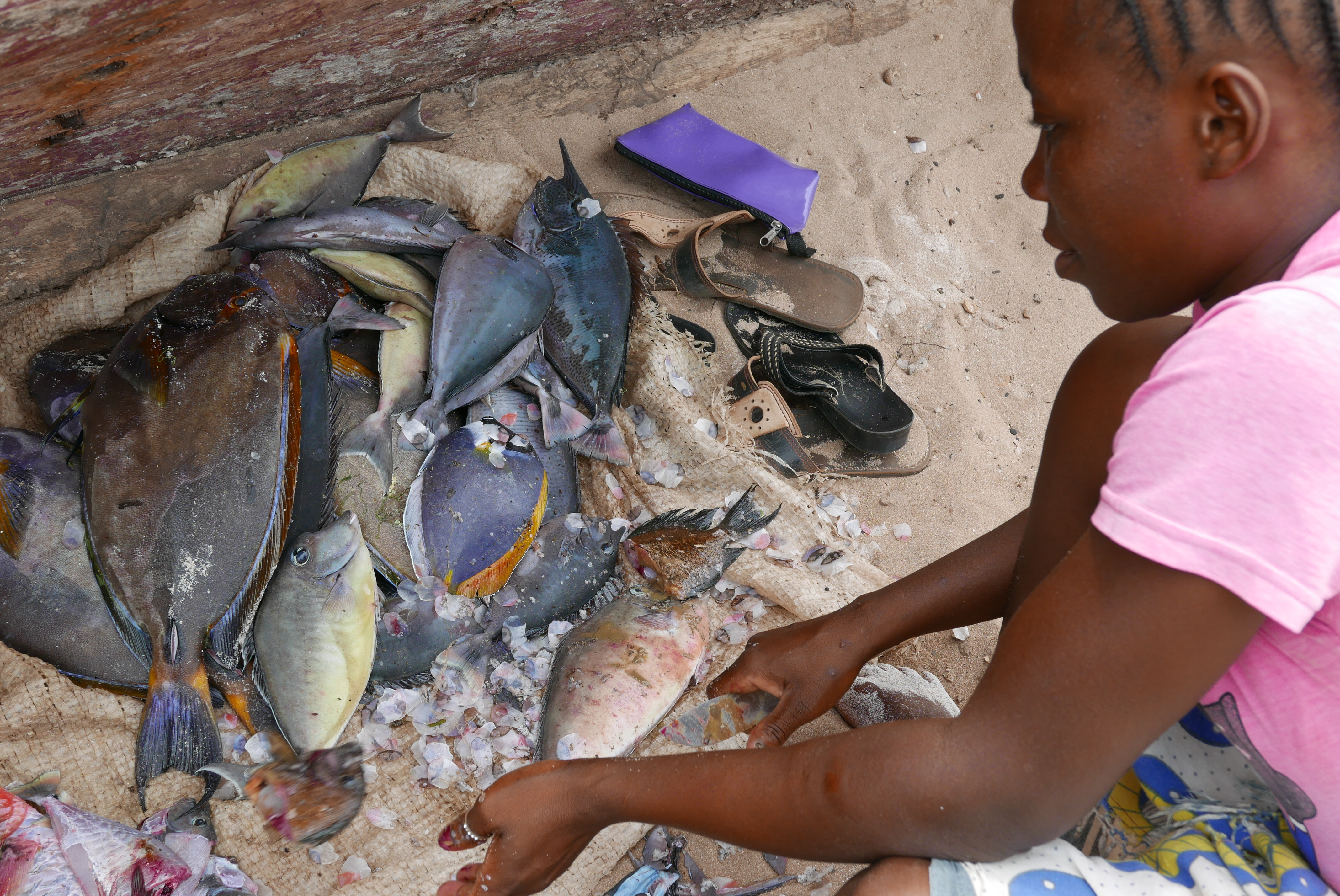 A girl in a village collects fish for her next meal