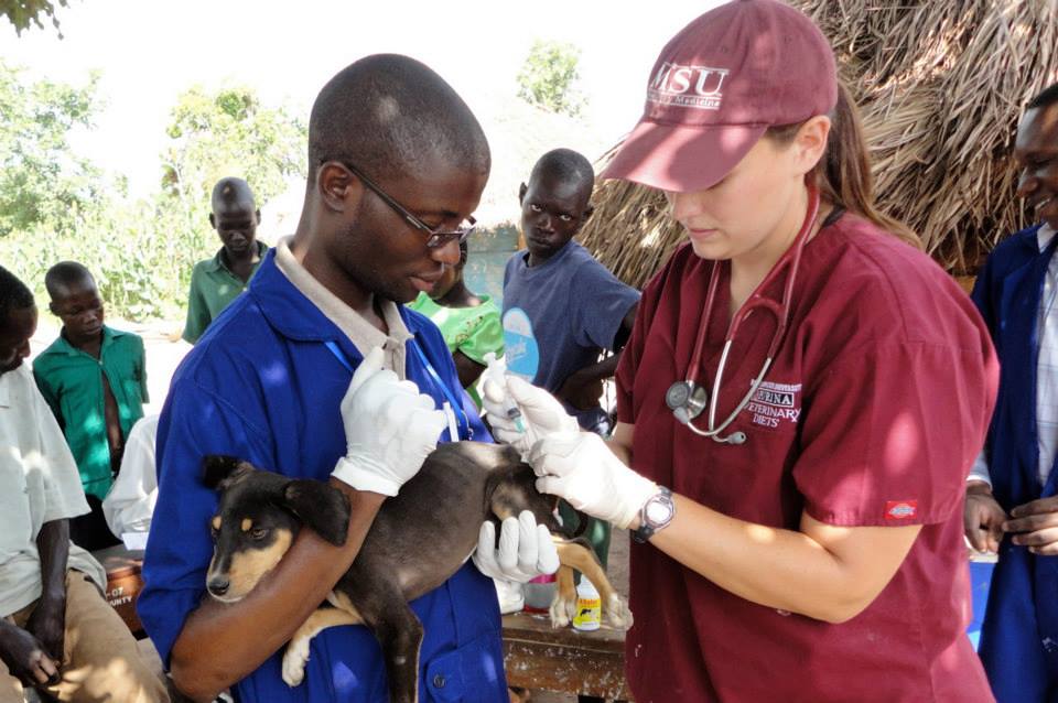 A student vaccinates a puppy in a village